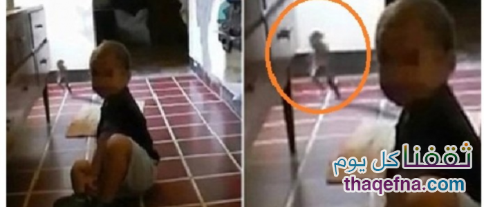 بالفيديو.. كائن غريب يركض أمام الكاميرا أثناء تصوير الأم لطفلها وسبب لها الرعب!!