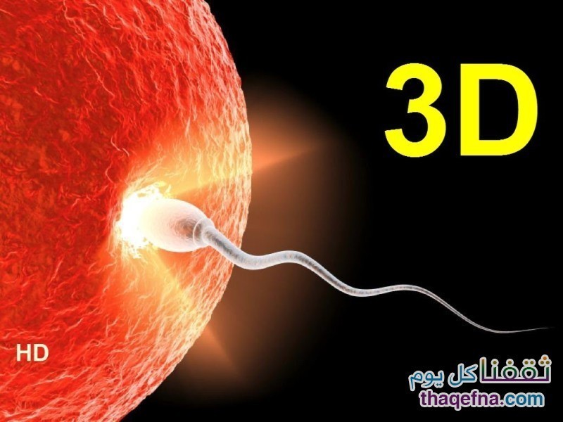 شاهدوا عظمة الخالق في رحلة الحيوانات المنوية من البداية حتى الولادة، كما لو لم تروه من قبل!!