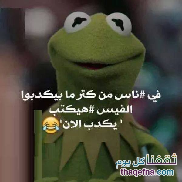 صور الضفدع كيرميت وأجمل الكومنتات الساخرة له