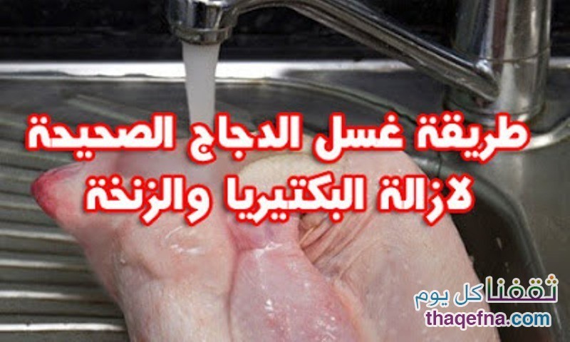أفضل طريقة لغسل الدجاج والتخلص من البكتيريا والزنخة وإنفلونزا الطيور