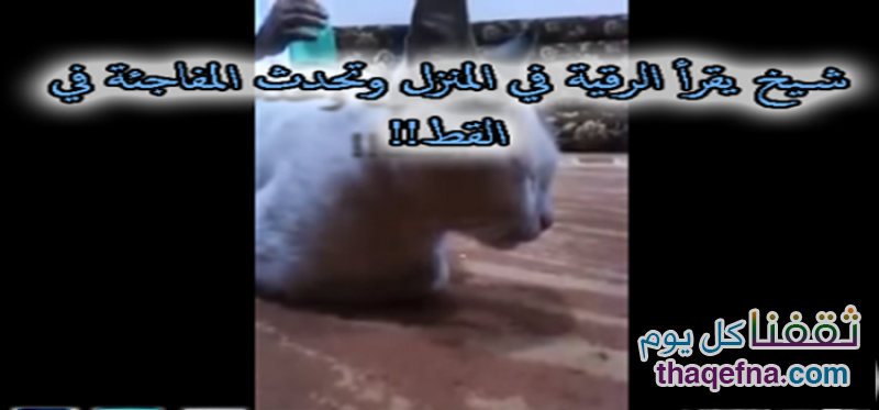 بالفيديو شيخ يقرأ القرآن على رجل مسحور ولكن كانت المفاجأة بما حدث مع القطة .. سبحان الله