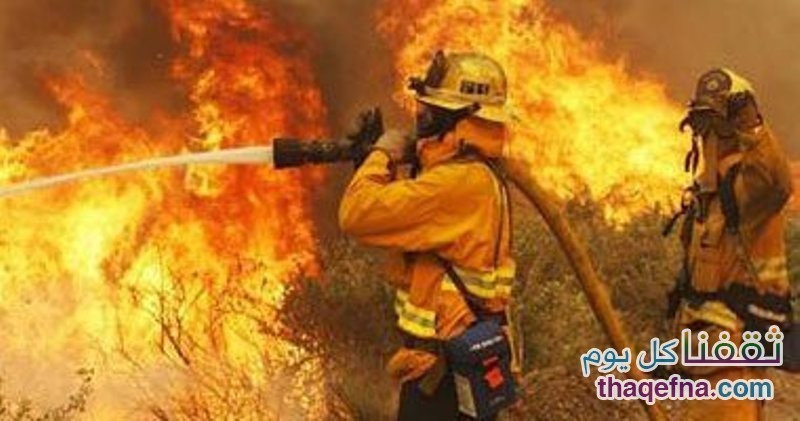 إندلاع 5 حرائق في إسرائيل توقف الحركة السياحية وتنشر الرعب فيها