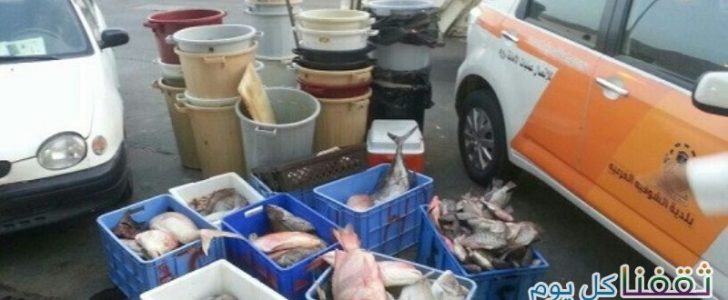 سوريين يتبولون على السمك وتدشين هاشتاج #سوريين_يتبولون_على_السمك على تويتر ويثير غضب المواطنين