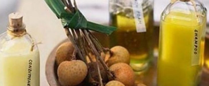 أفضل شامبو طبيعي من أجل التخلص من مشاكل الشعر وتساقطه ويعالجه من الجذور !