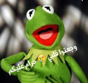 الضفدع كيرميت