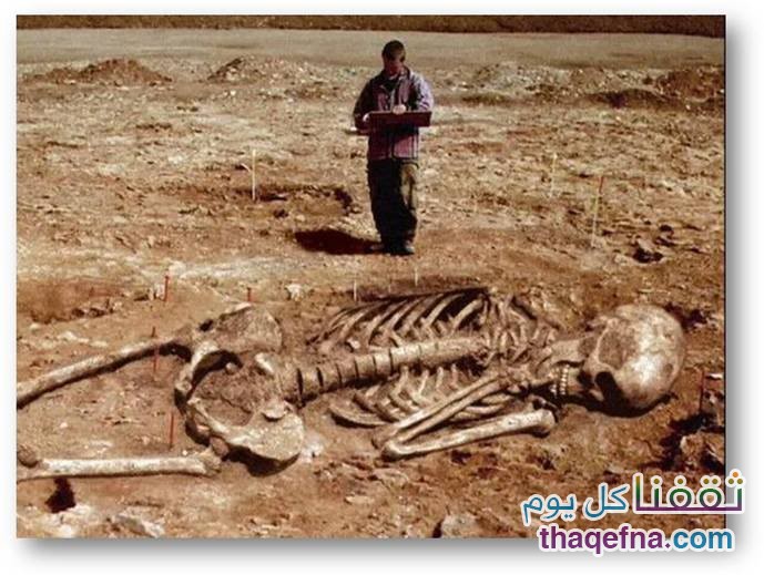 كيف مات قوم عاد