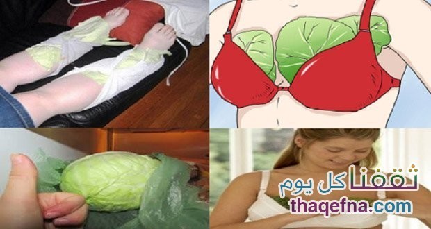 هل فكرت ما هي العلاجات التي يقدمها الملفوف لك ؟؟ … لن تصدق !!