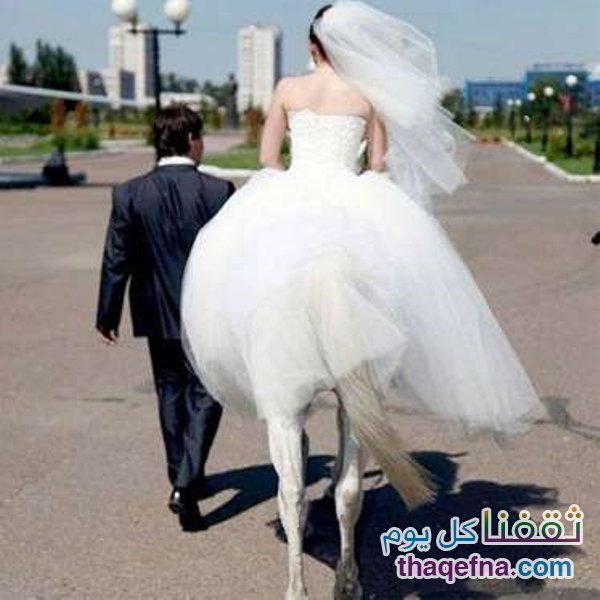 بالصور اسوأ صور الزفاف حول العالم